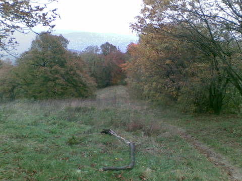 A volt felvonó nyomvoala.