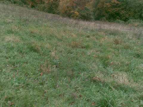 Elég vastag hótakaró kellene az ideális pályához.