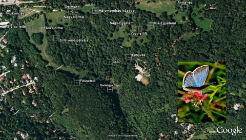 A pályák elnevezései