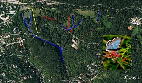 A pályák "színezése"