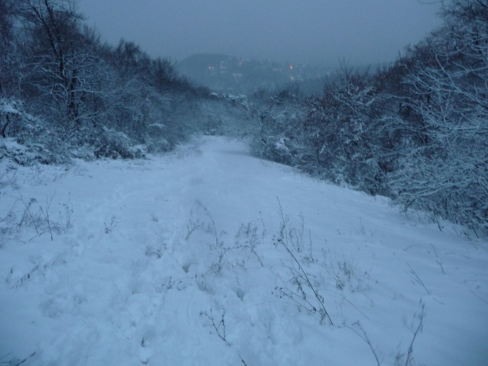 Nagy-Egyetemi még "szűzhavas" bal pályája