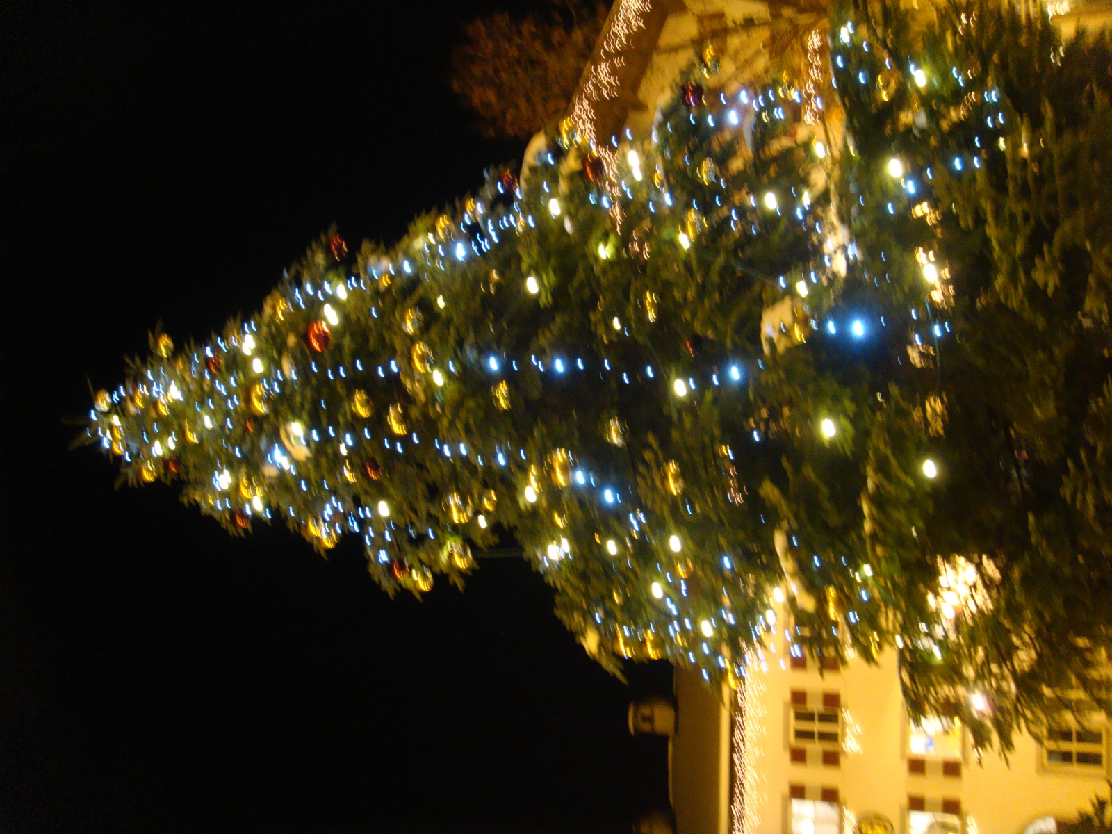 2010-12-22-Zell-am-See-031.jpg