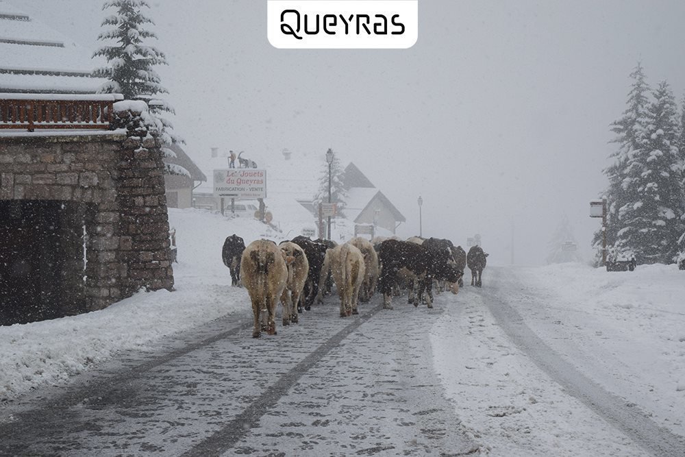 Queyras / Facebook