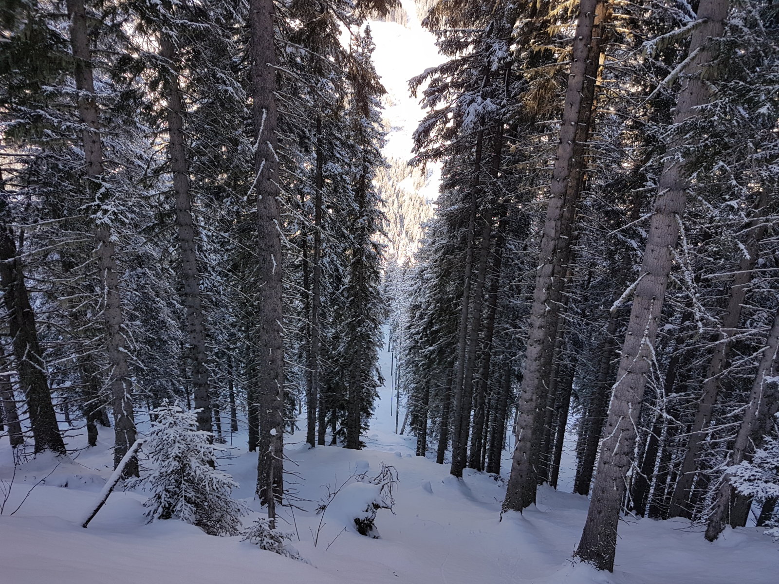 A nyílt sávokon már elég a hó (majdnem)