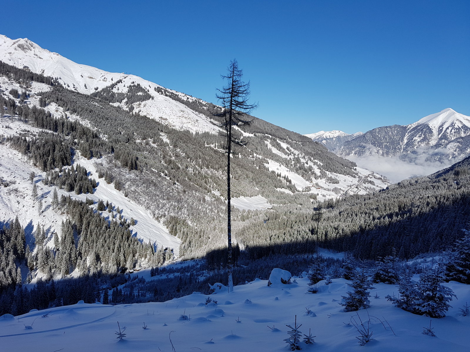 Az alsó nagy tisztás