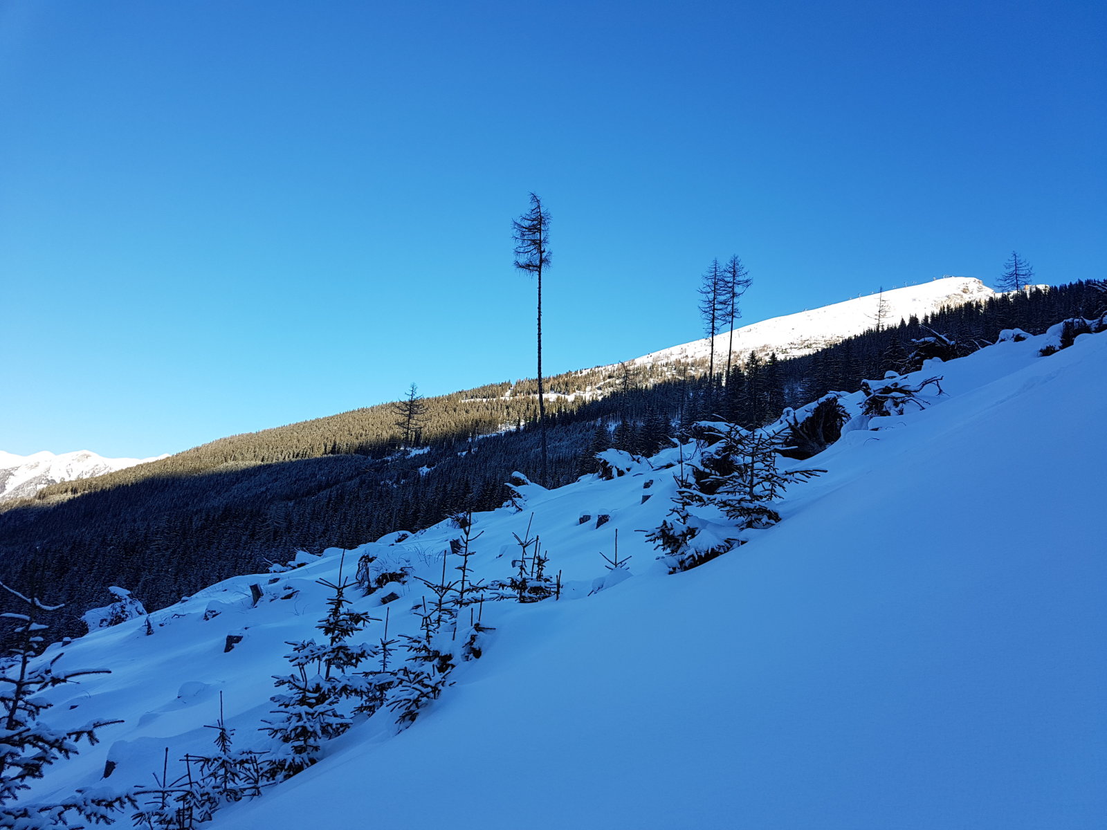 Az alsó nagy tisztás