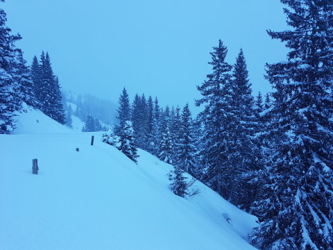 Az utolsó csúszás