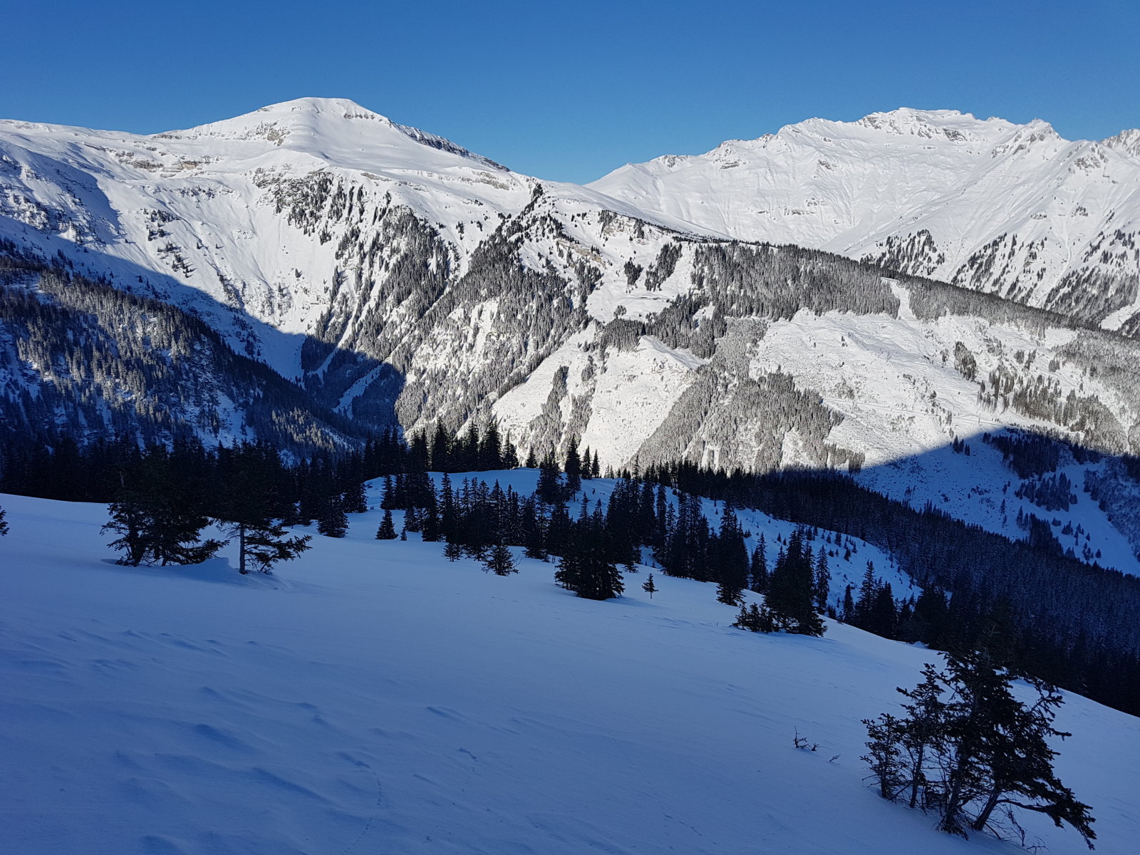 Az első tisztás felülről nézve