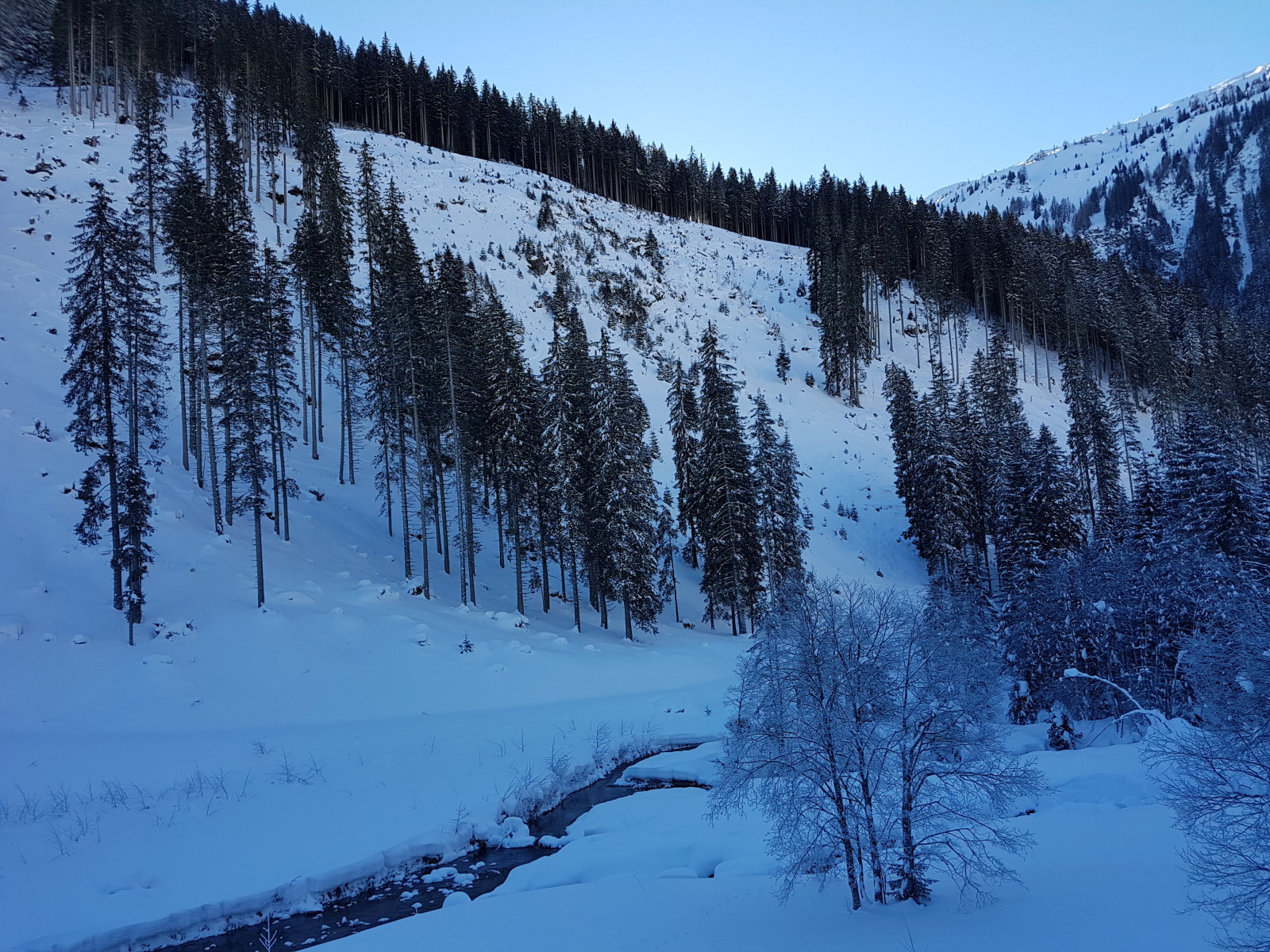 A víztározó feletti irtások