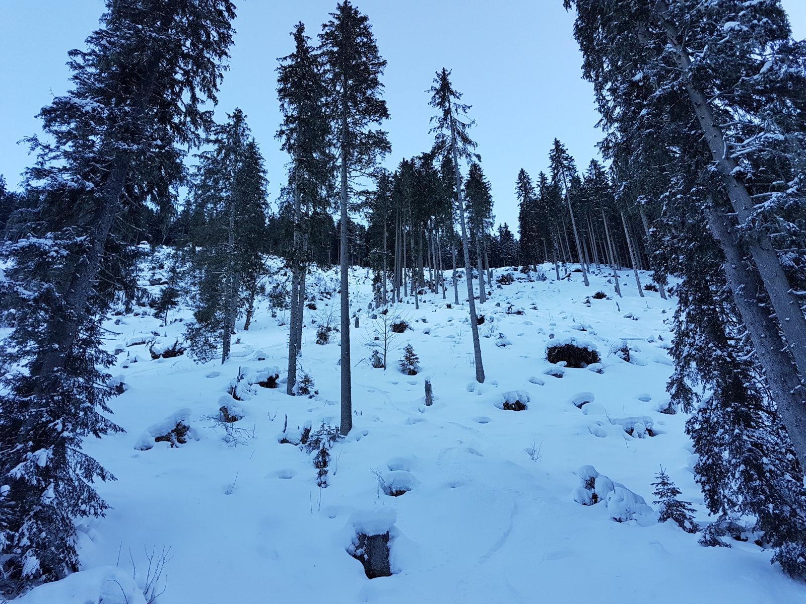 Az utolsó csúszás után