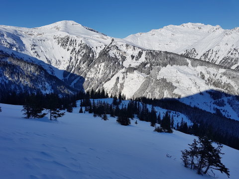 Az első tisztás felülről nézve