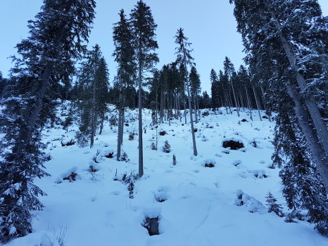 Az utolsó csúszás után