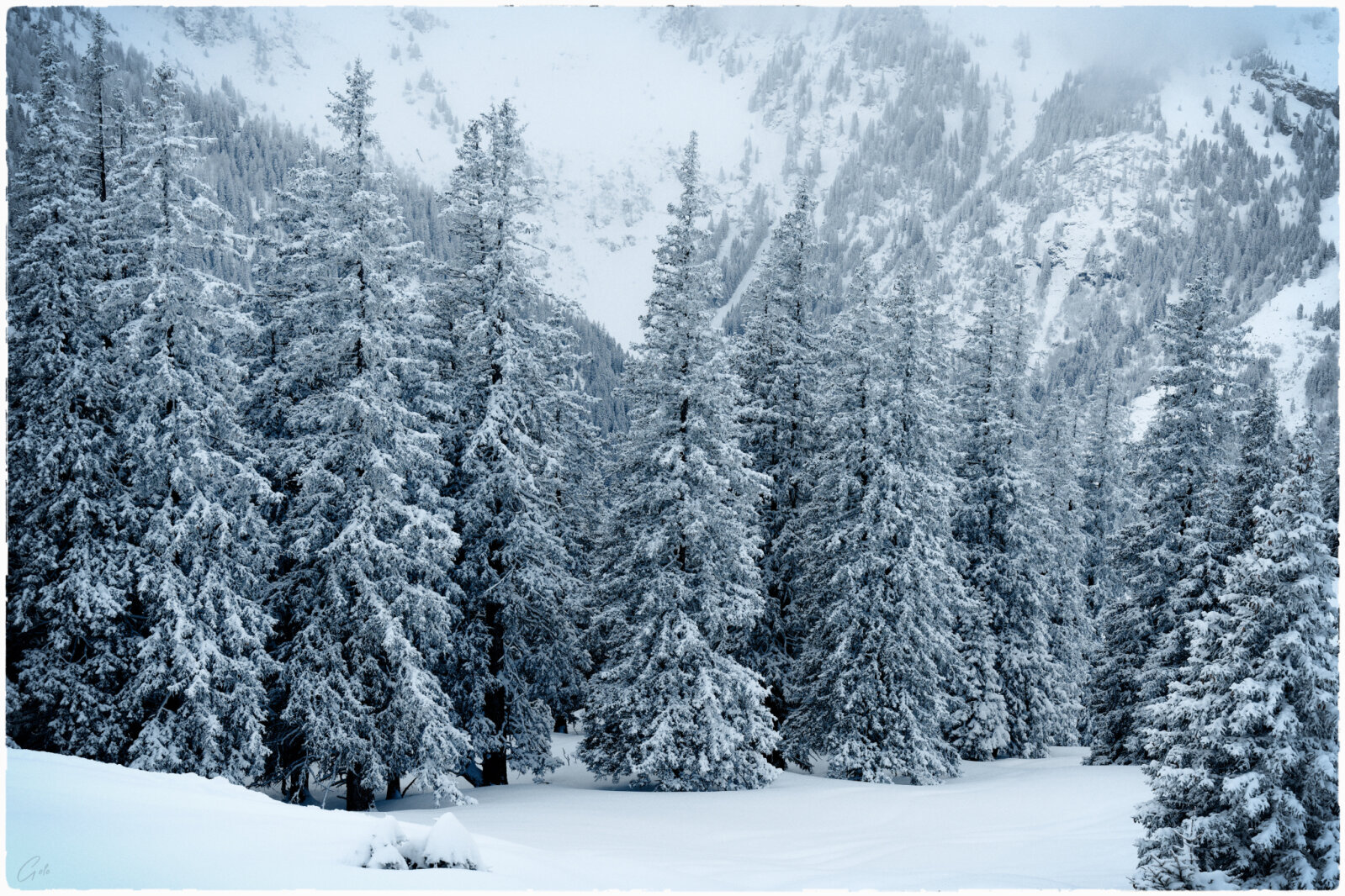 Angertal hátsó (01.19)