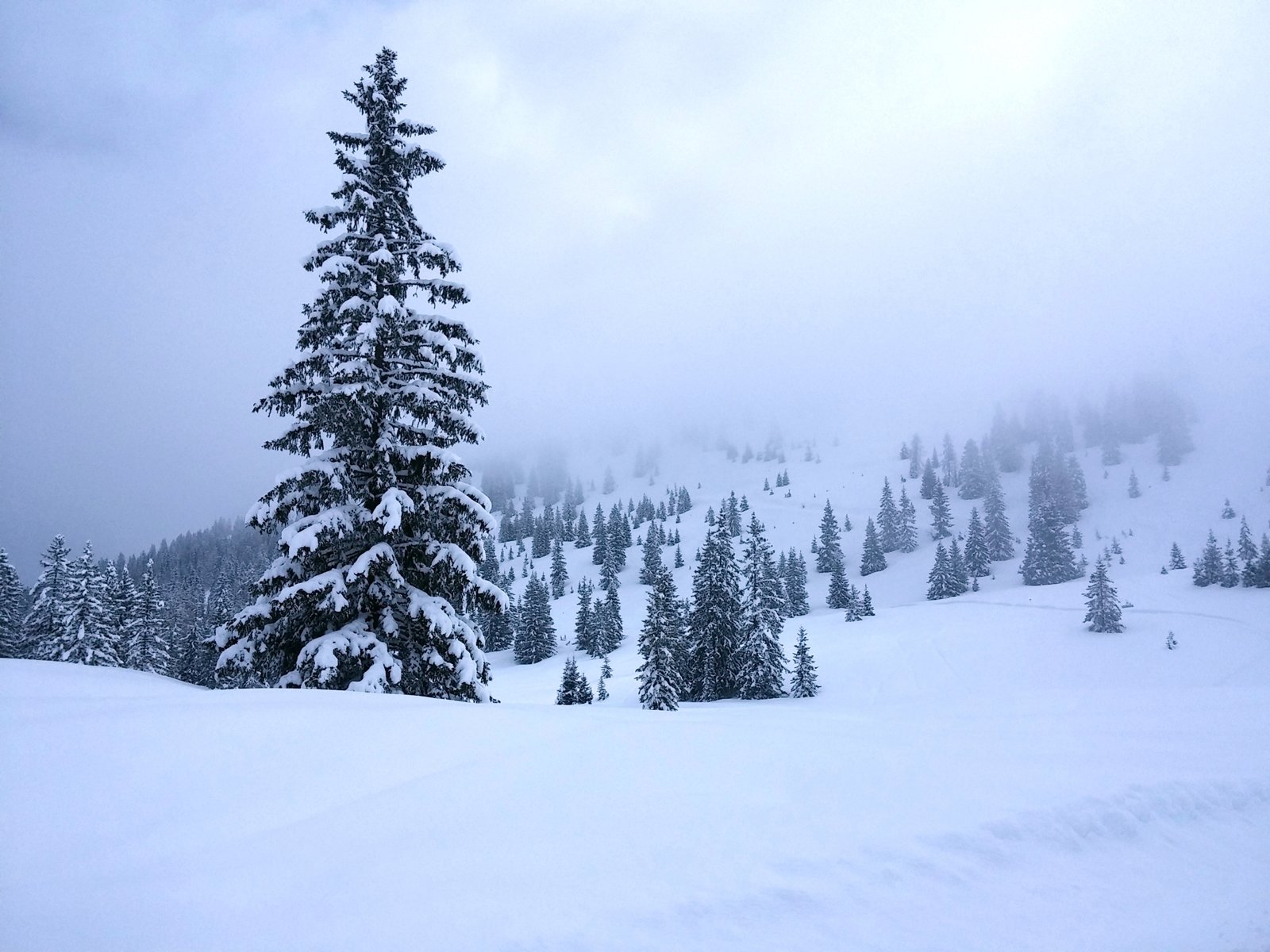 A Hochkeil-csúcsot (1782m) délelőtt még köd takarta