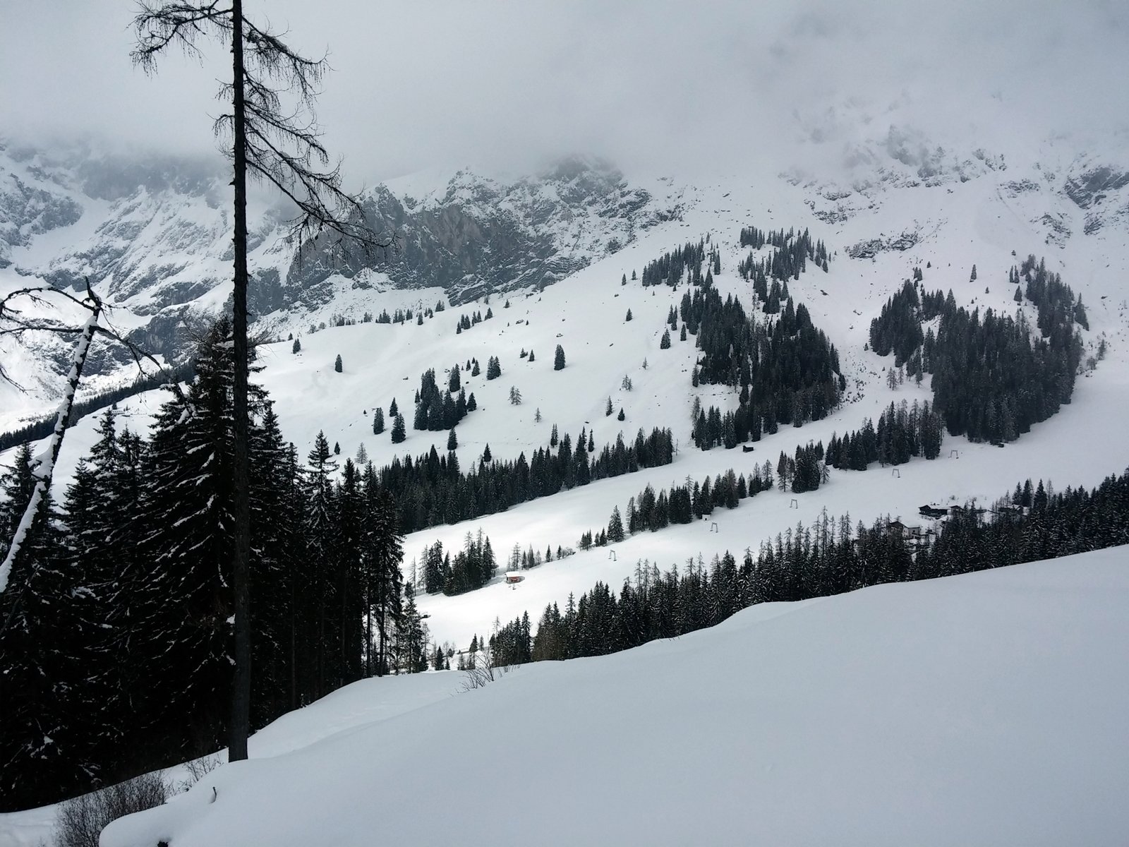 A középső nagy tisztás