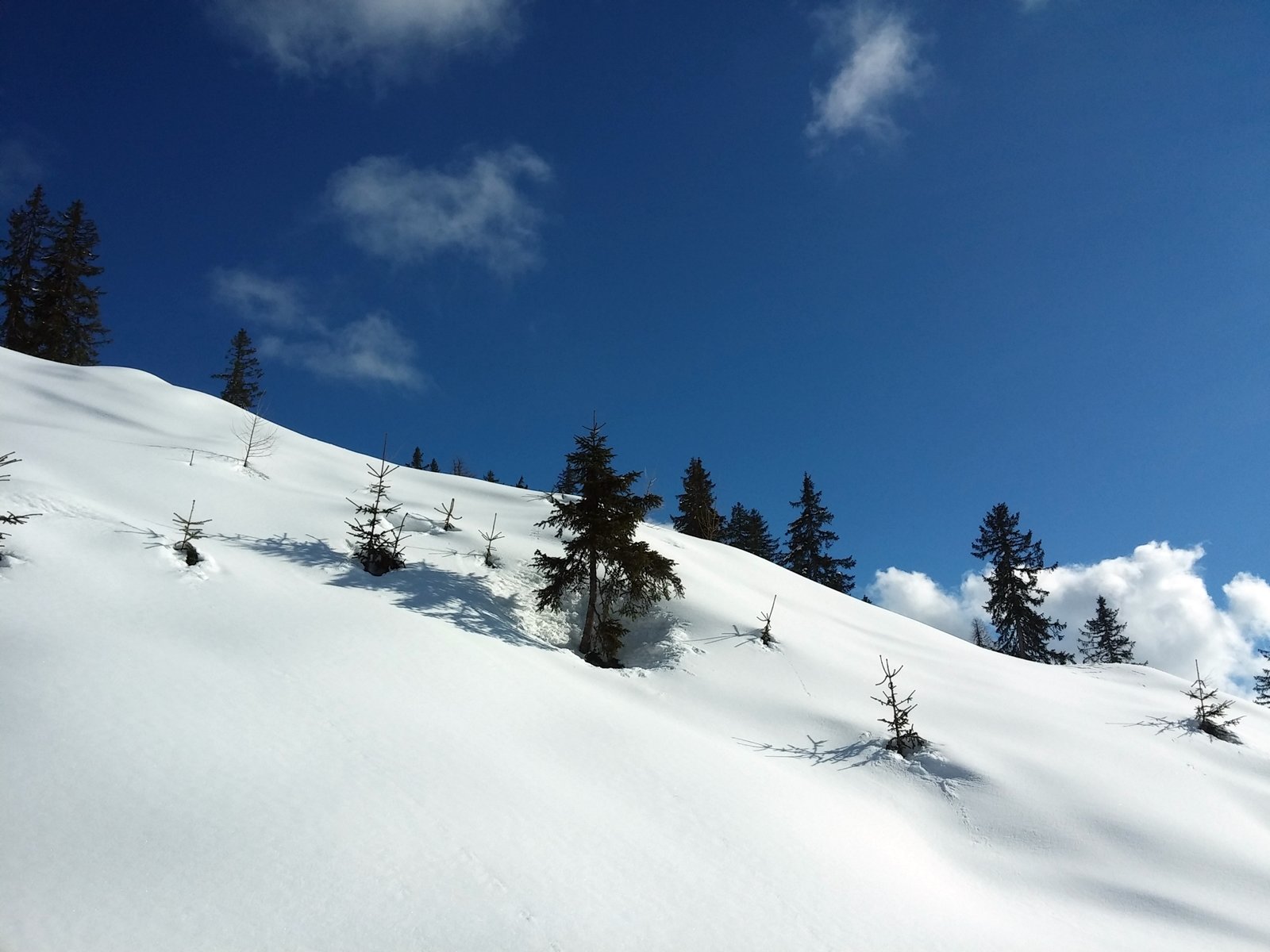A felvonótól jobbra