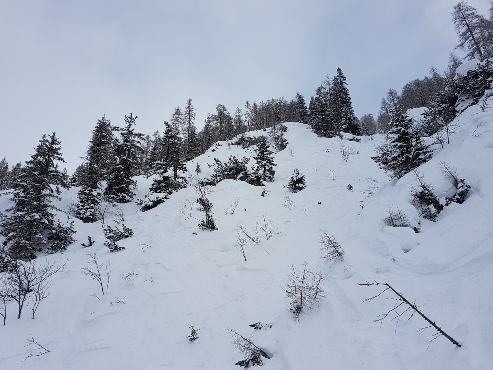 20180120-121725.jpg