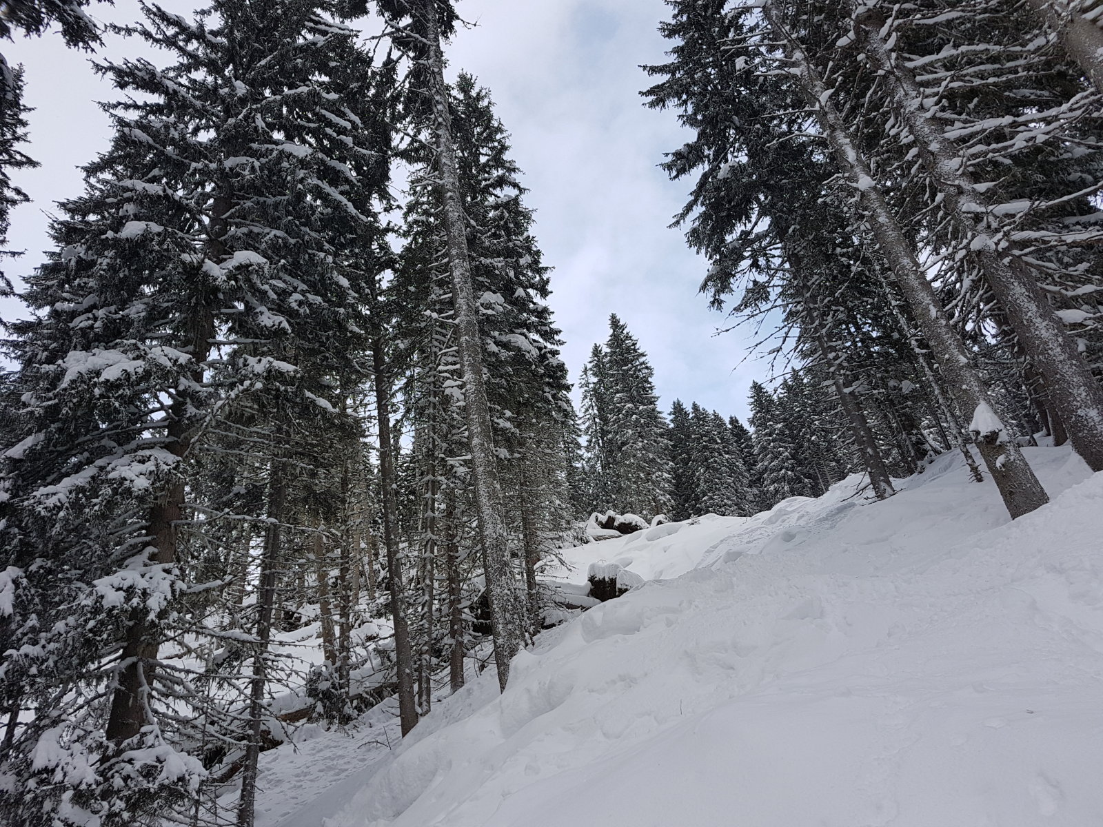 01.21. Zauchensee (Tauernkar)