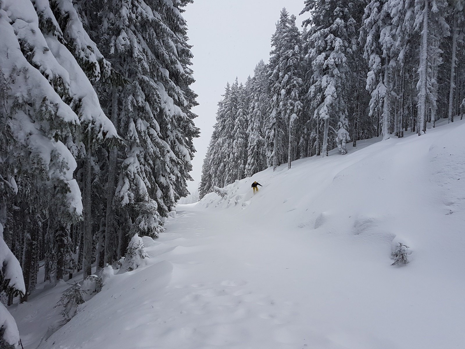 út a felső és középső harmad között