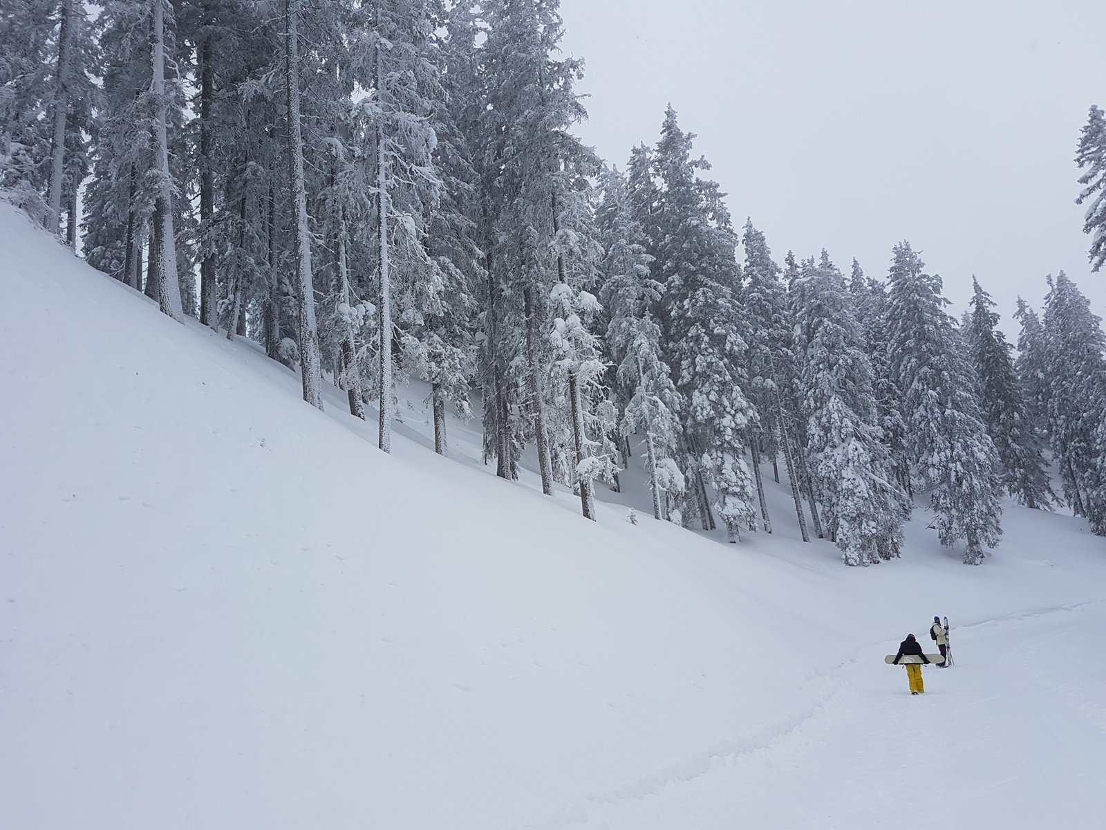 séta a sífutóúton