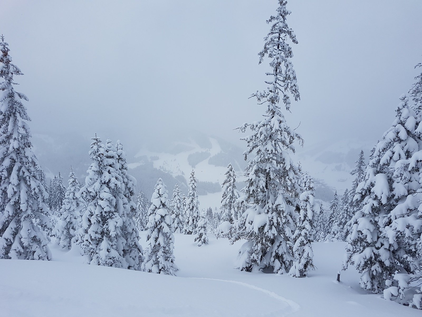 egyszerűen tökéletes