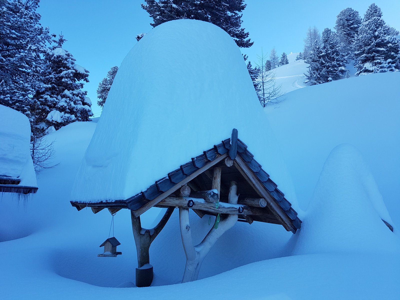 Graukogel, a hütténél