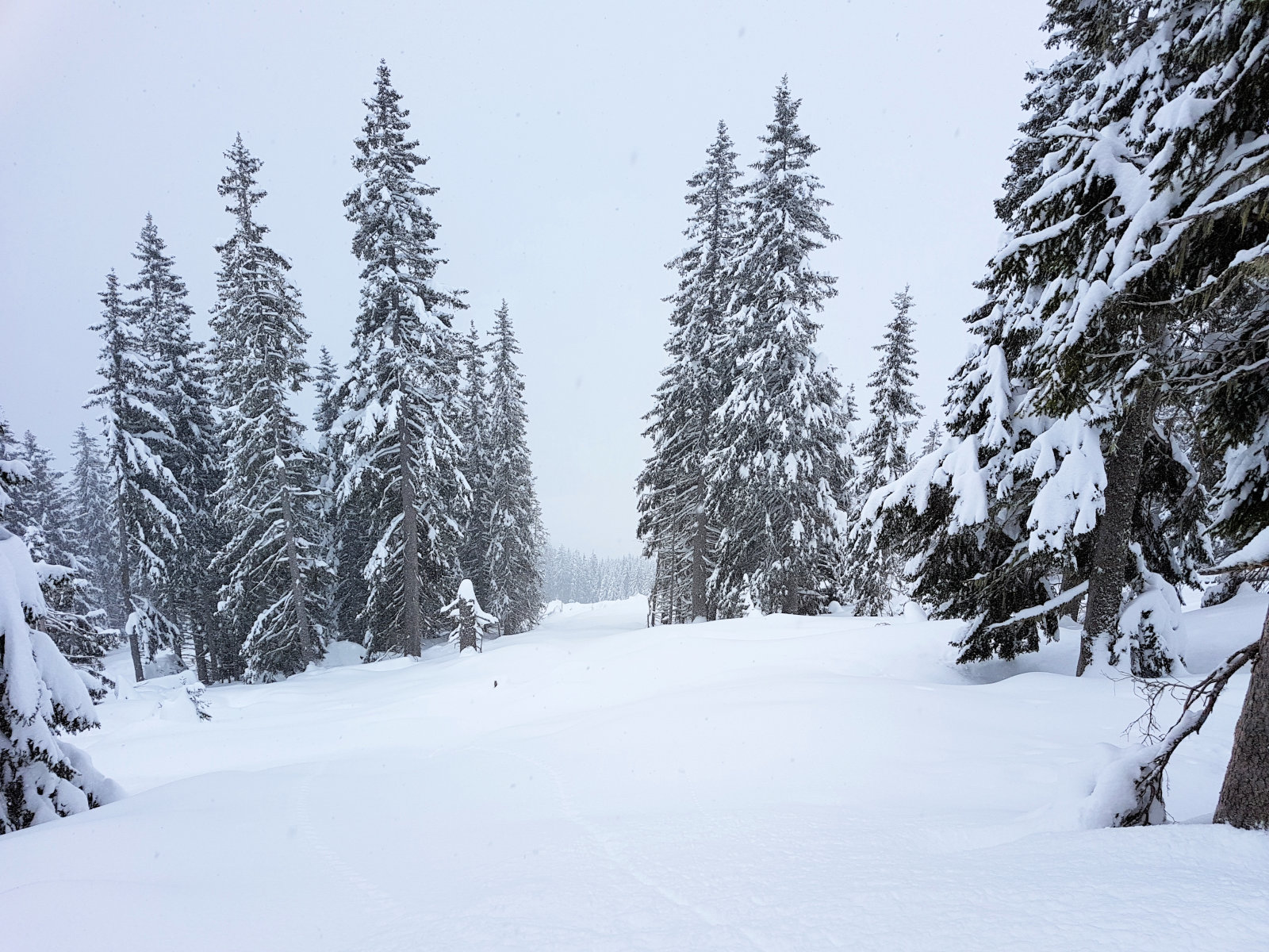 Angertal, a kék kabinos mellett