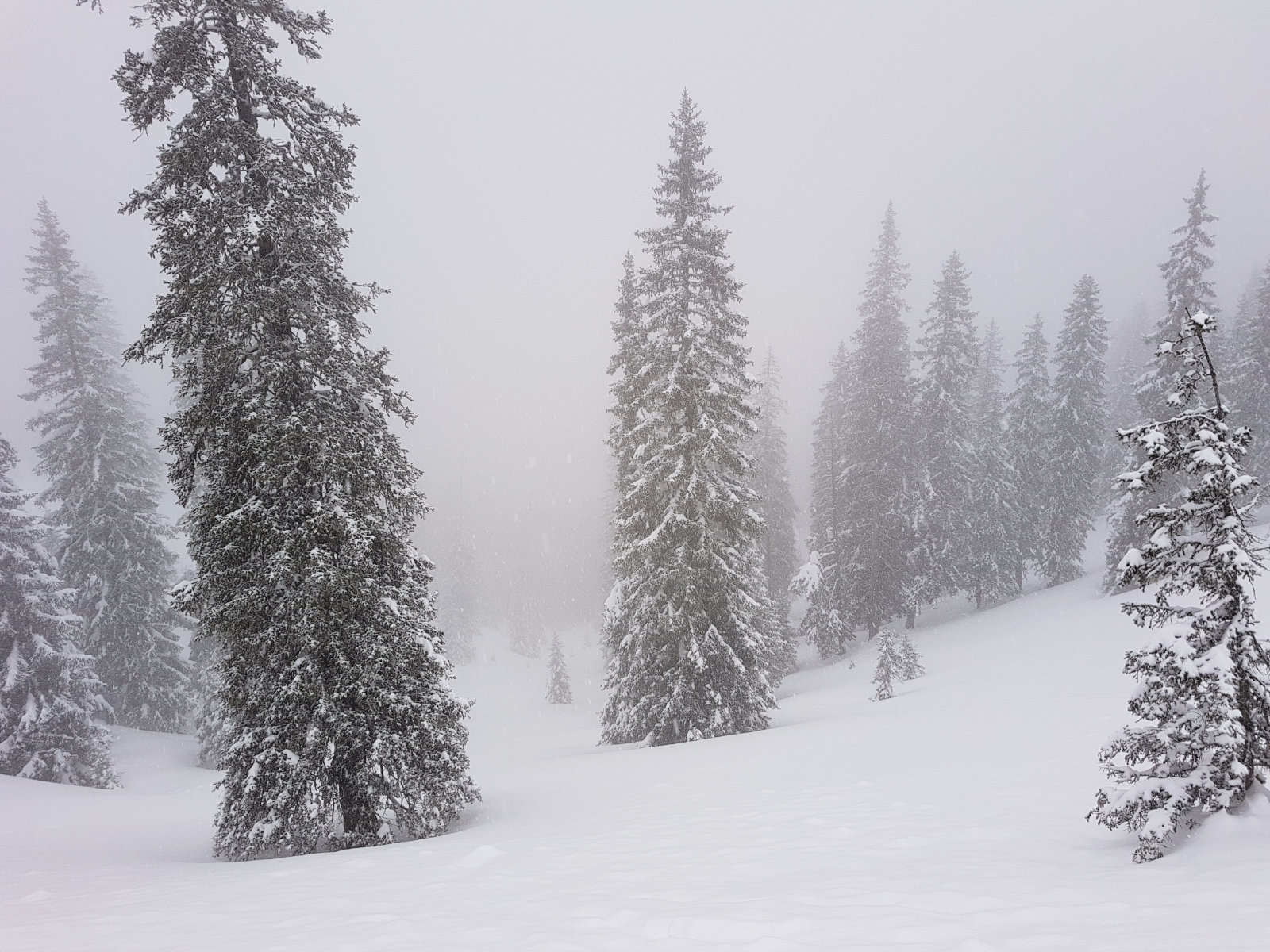 Angertal hátsó, a síúton