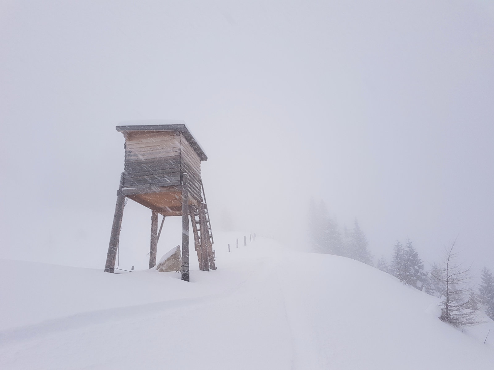 Angertal hátsó, a második tisztás