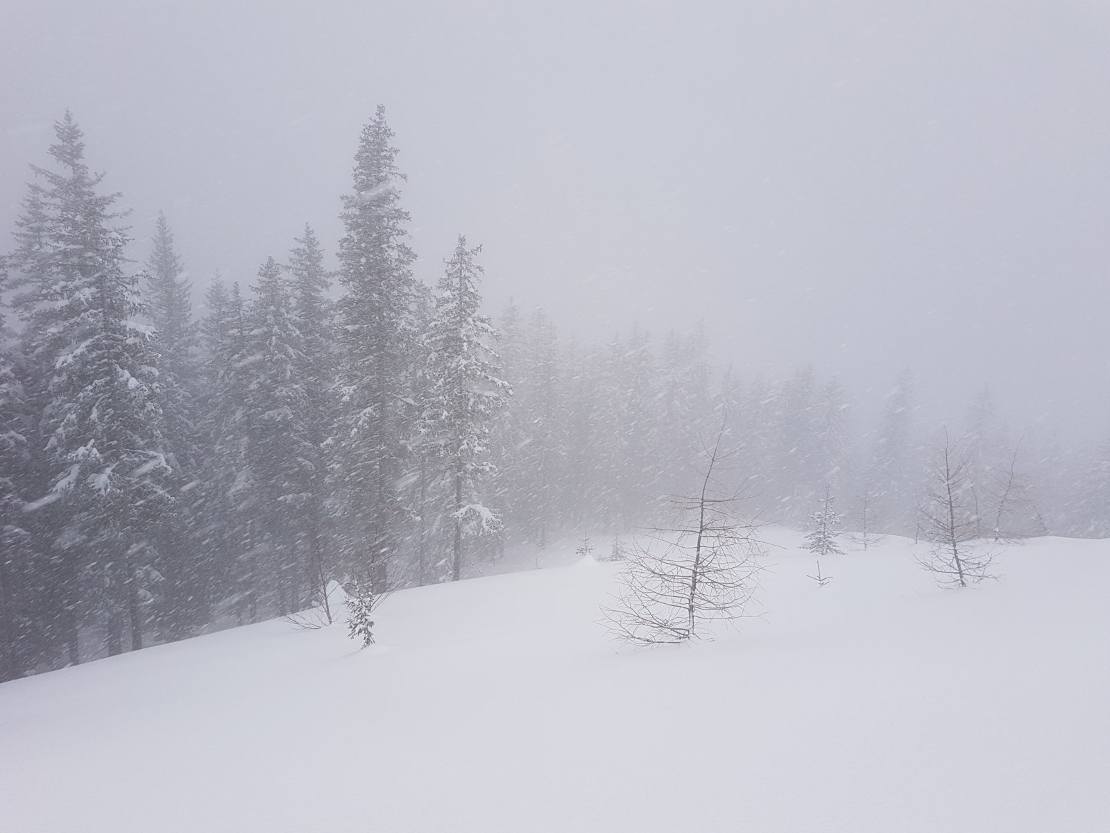 Angertal hátsó, a második tisztás