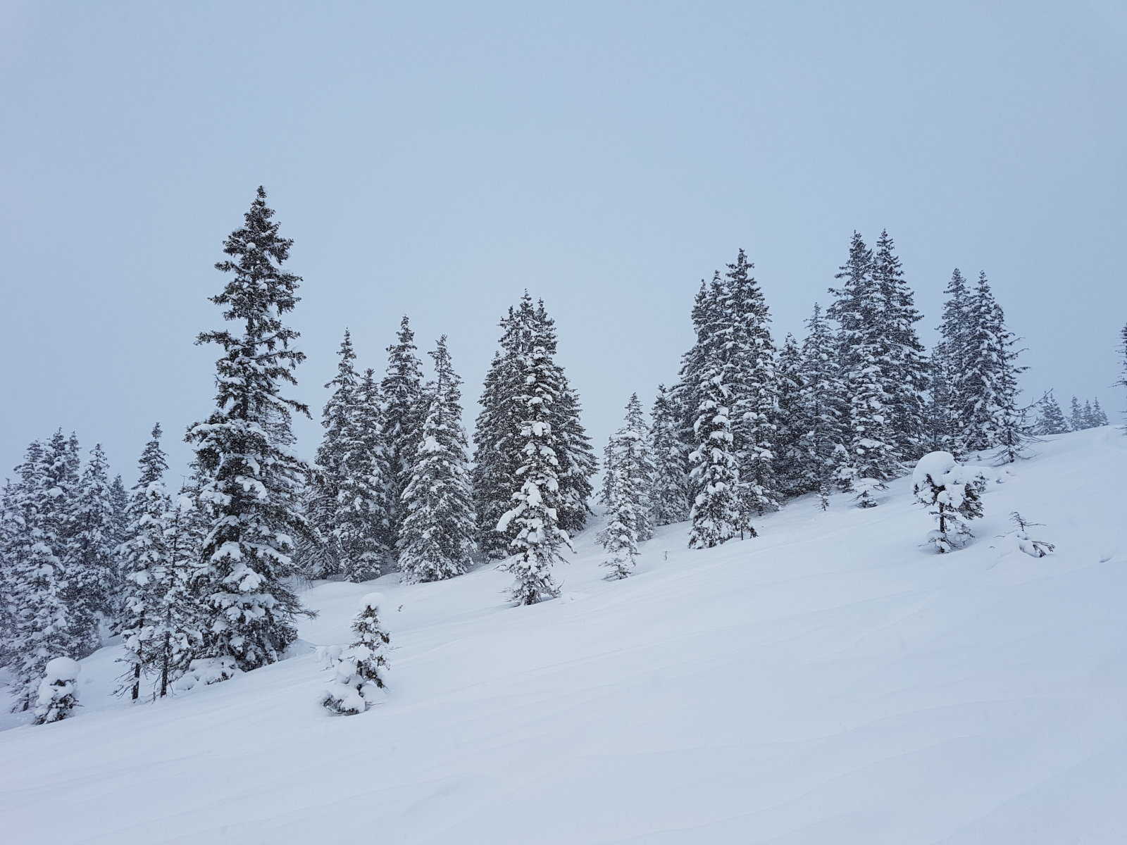 Az utolsó csúszás