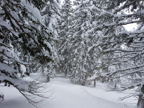 Ennek patakmeder lesz az ára (megérte)