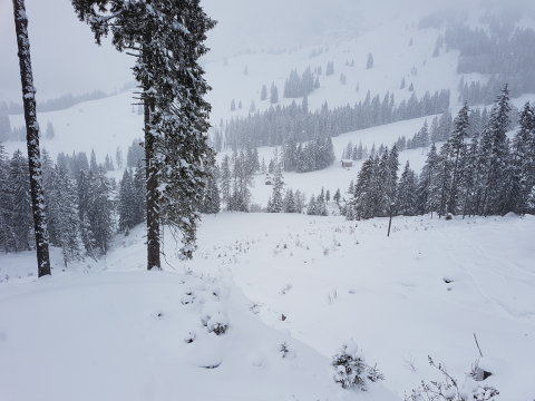 Ebből is patakmeder lesz. Ez a dolgok rendje.