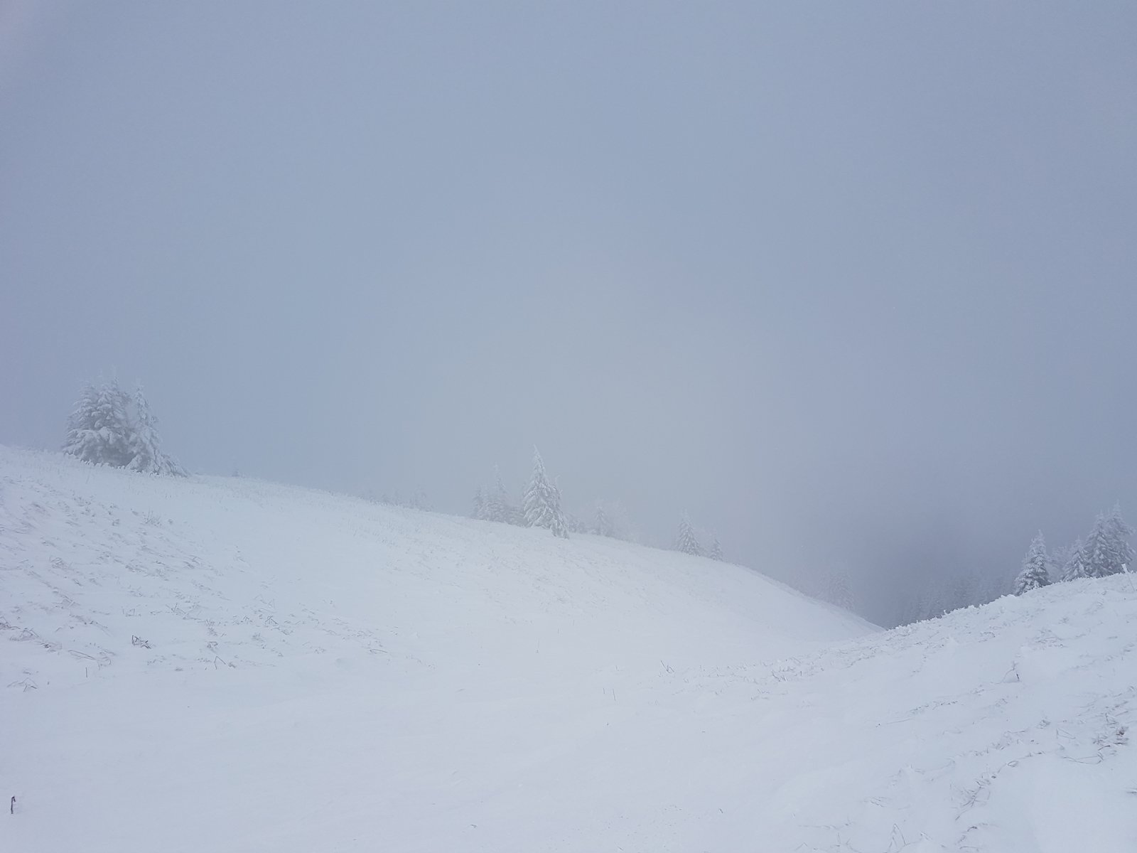 a baloldali kuloár egyik bejárata