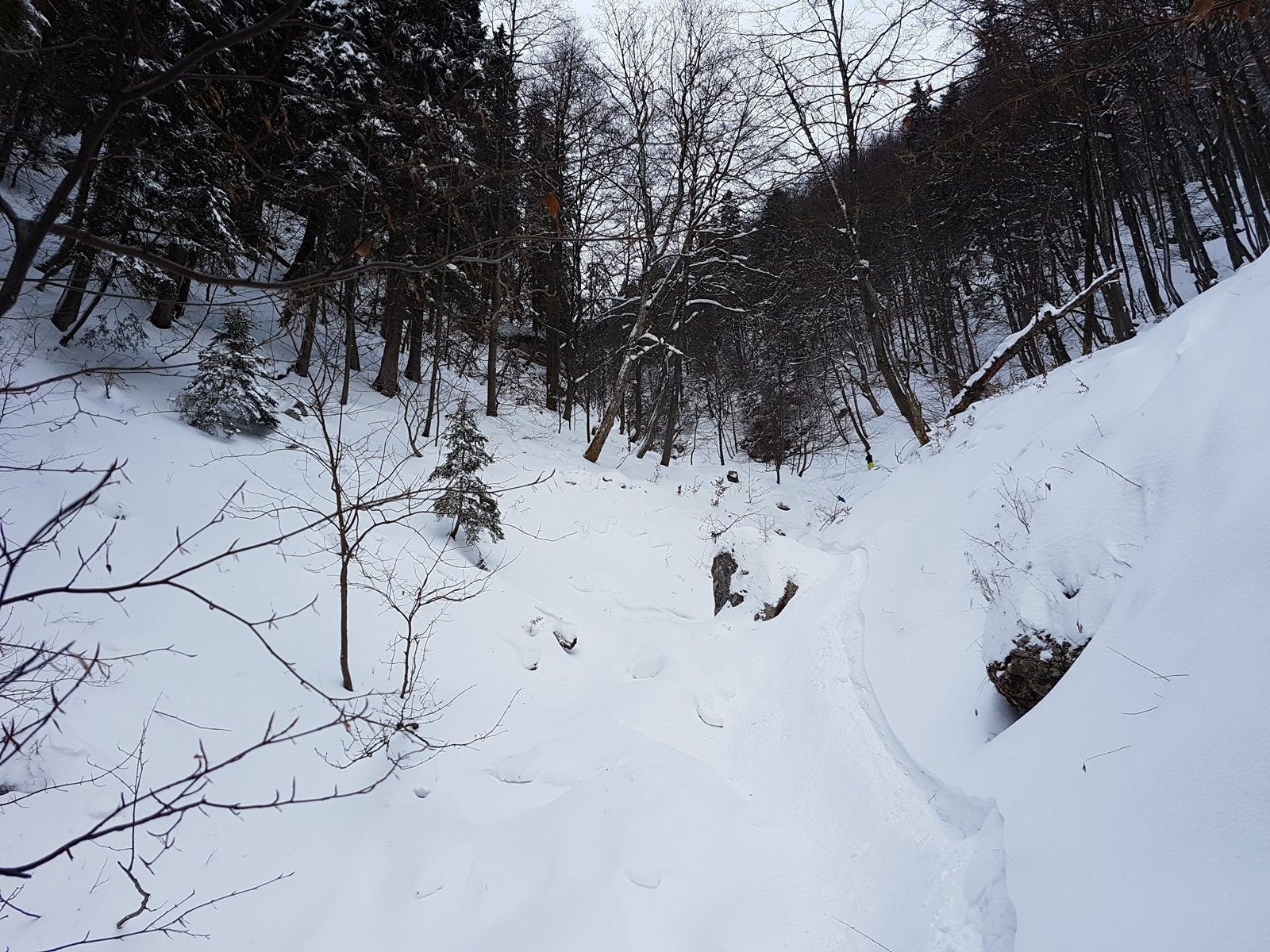 itt még jól csúszható a patakmeder