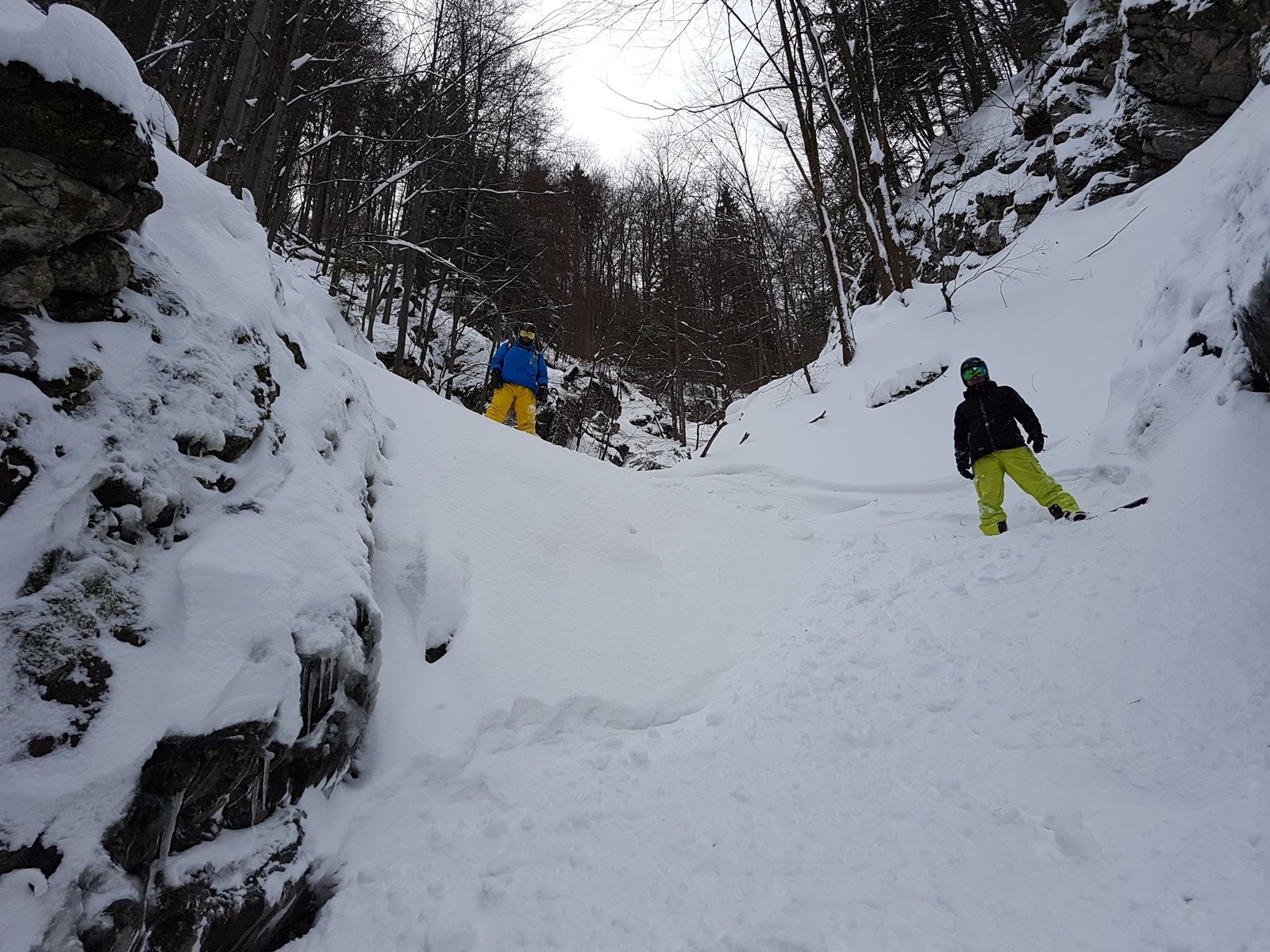 Freeride  - Fotós: Golo