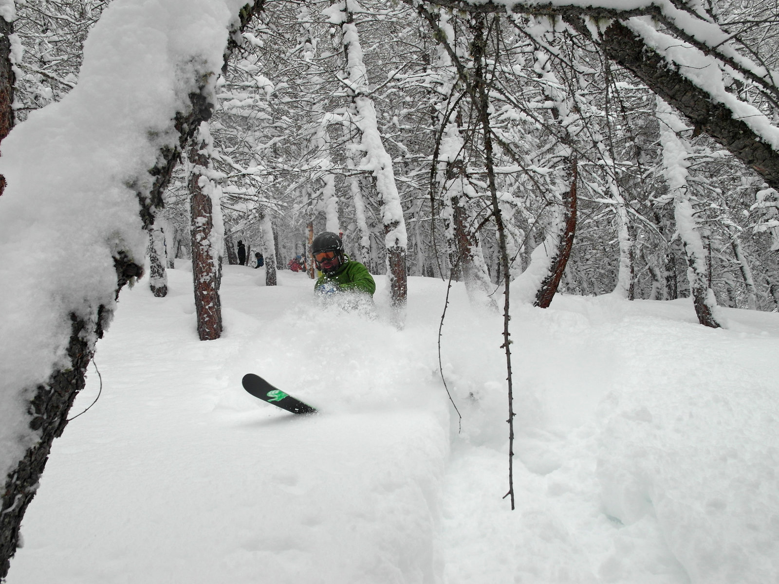 Cala az erdőbe is bevitt minket, ahol mesebeli hangulat fogadott. | Fotó: Szabó Gábor