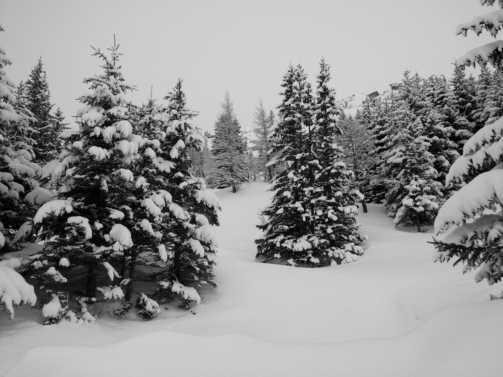 Az erdős rész kb. felénél van egy síút. Ez a kép innen készült visszafelé.