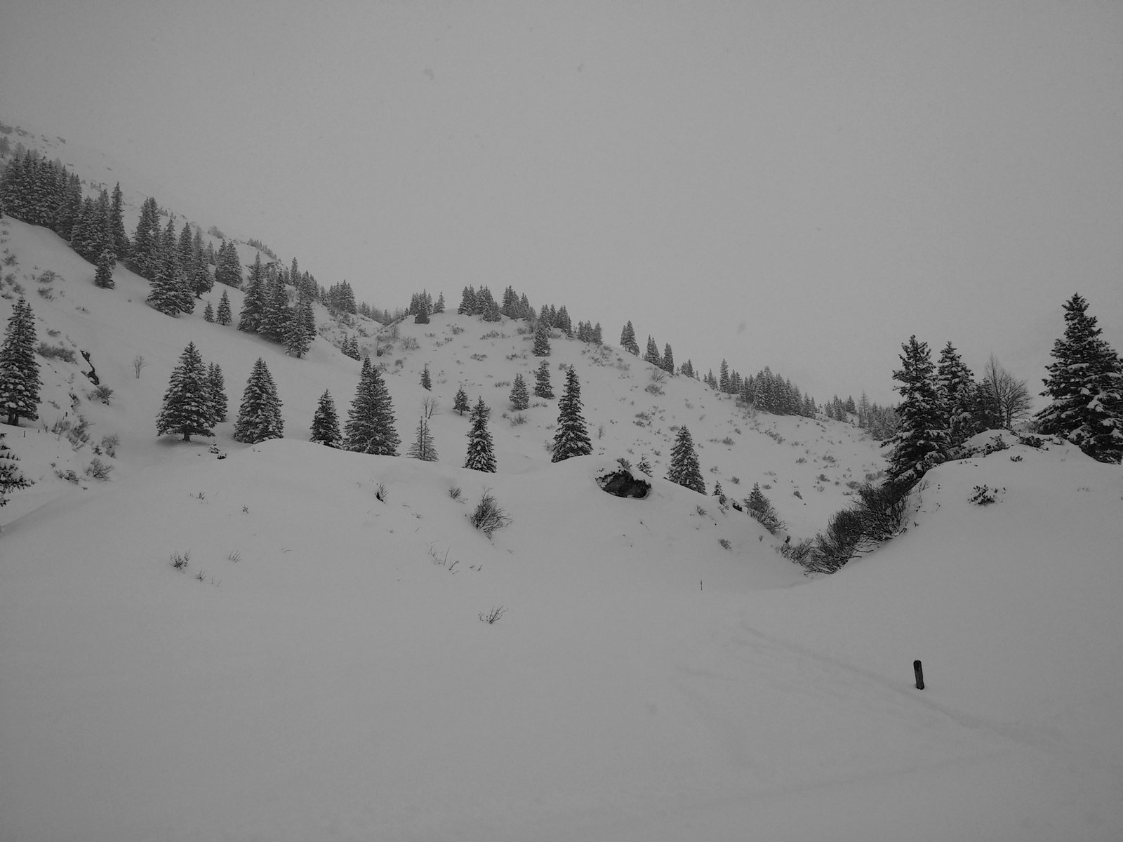 Ez pedig már az érkező. Ebben bevágásban egészen a sífutóútig ki lehet csúszni.