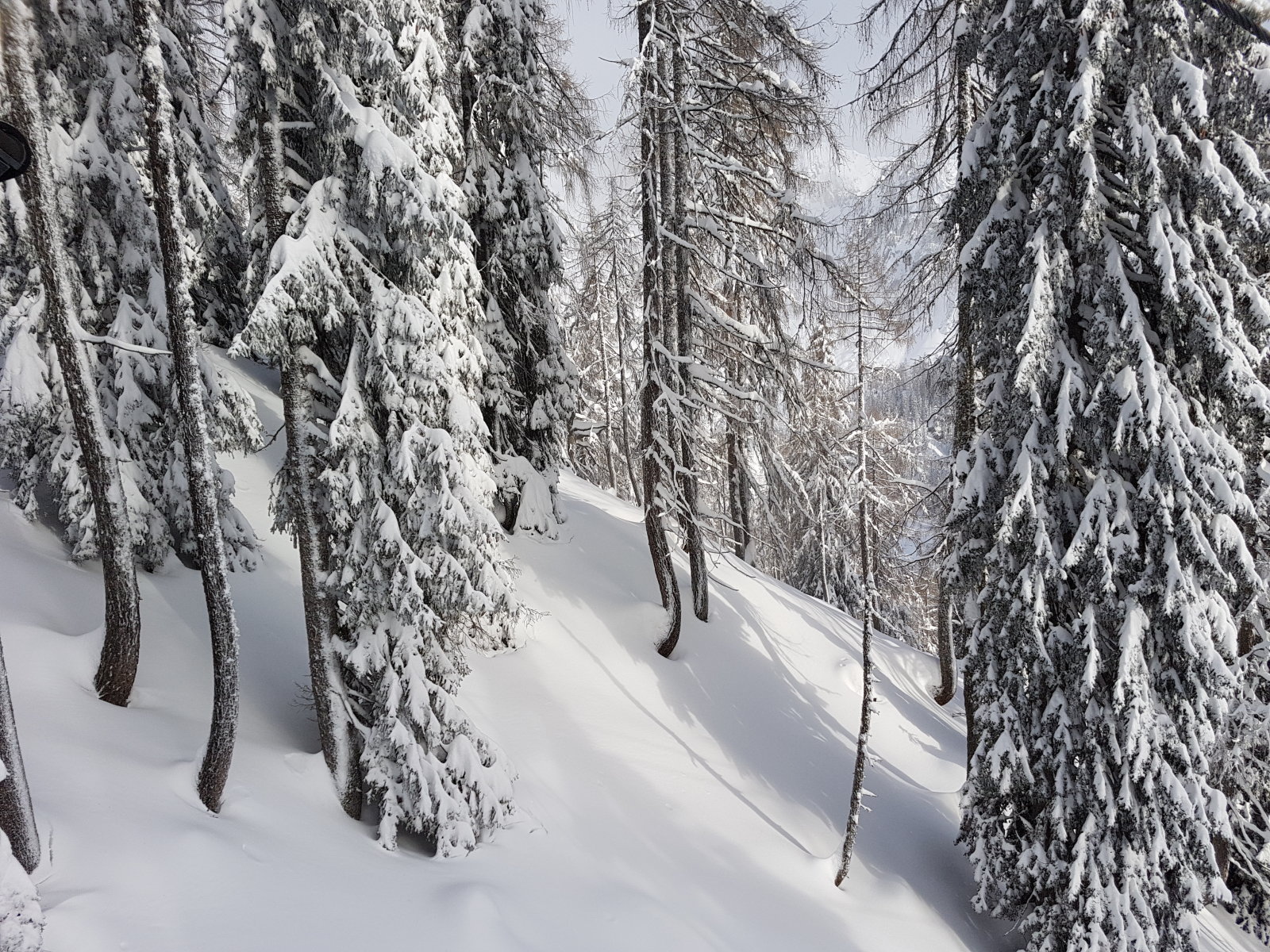 Ez már a második nagyobb havazás volt, és bőven elegendő a hó