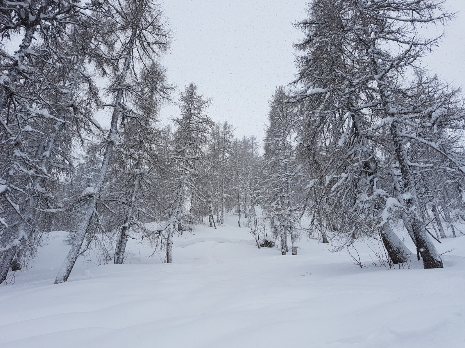 A Gamskogel lift mellett