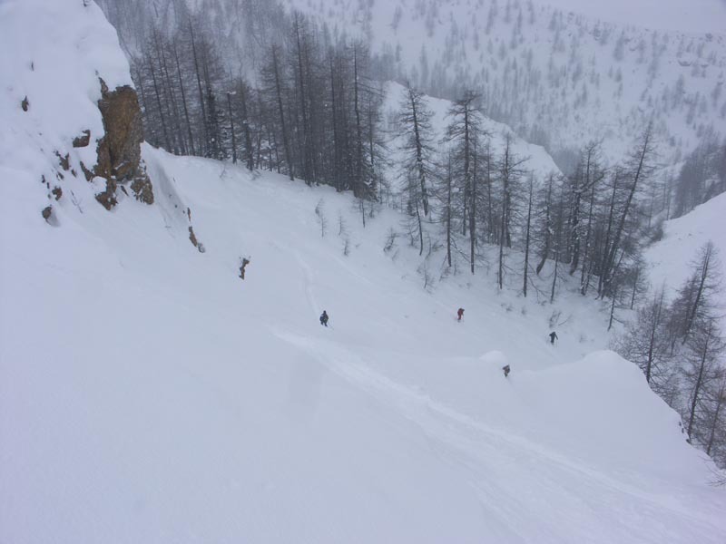 Kezdődik a tree skiing ! - Kattints a képre a nagyításhoz