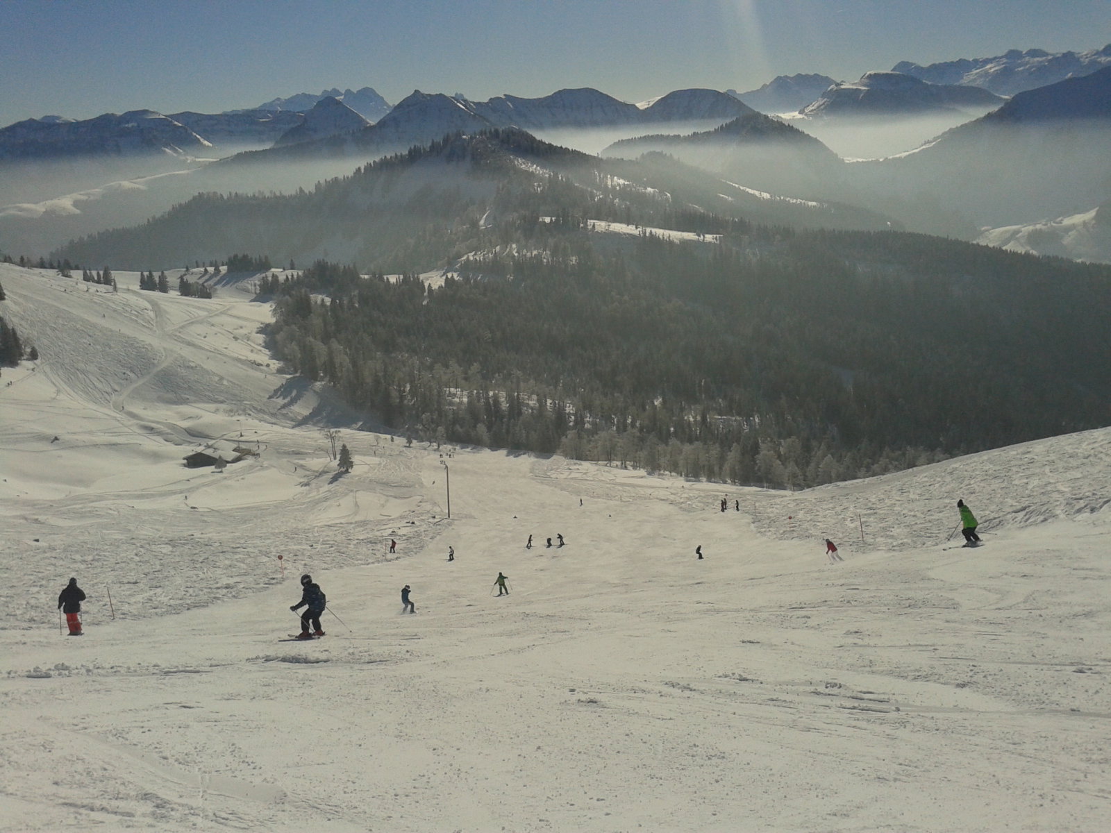 20150207-103131.jpg