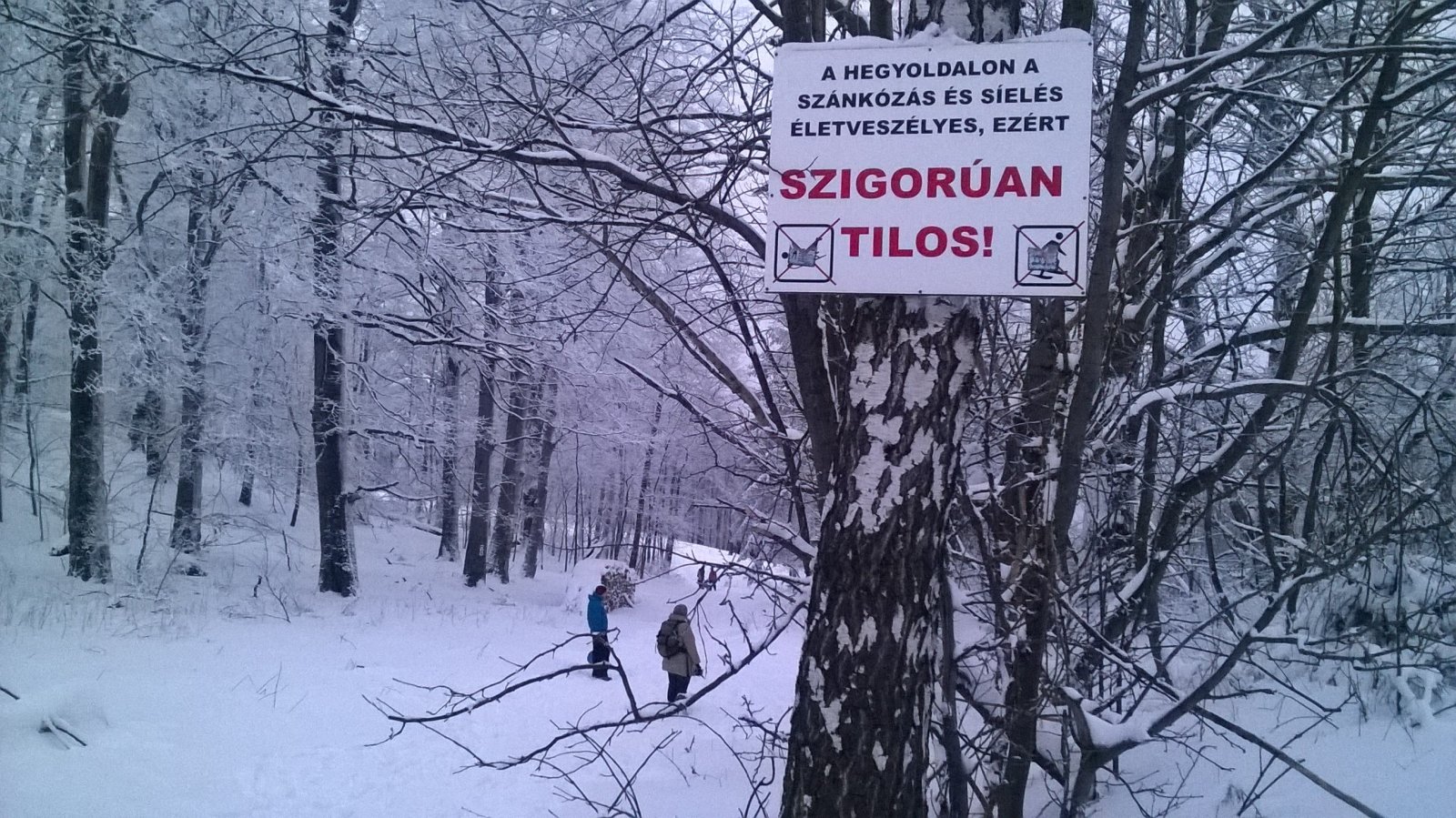 Kérjük vissza a sípályát!