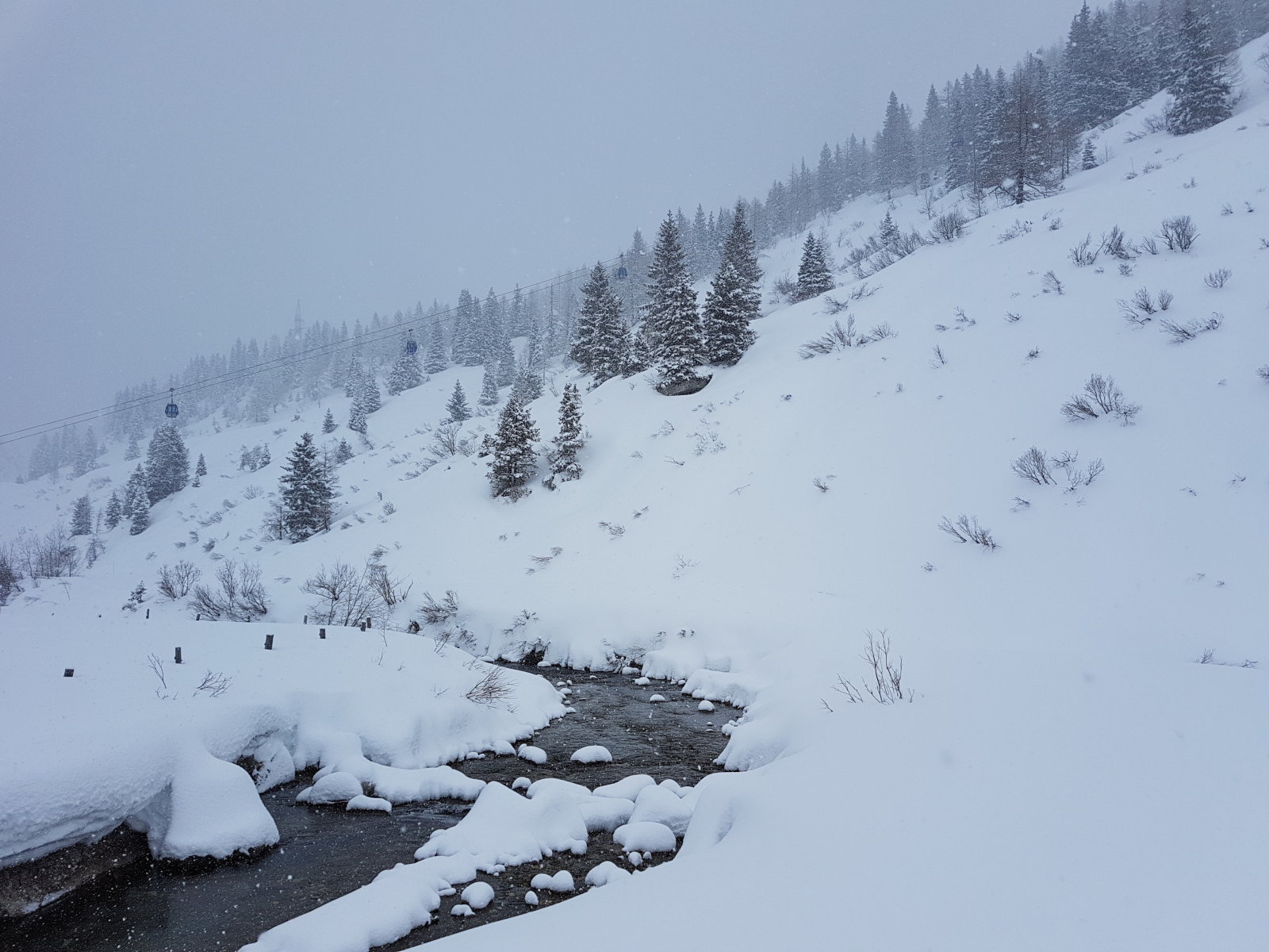 Sportgastein (01.19)