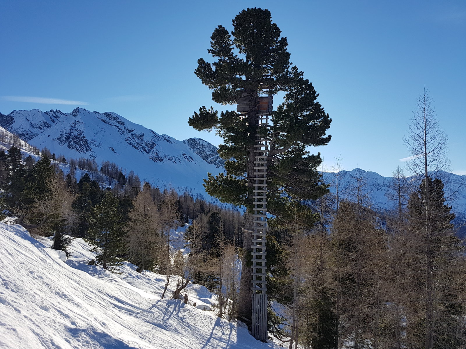 2020.12.18. Graukogel. Ekkor még deszka nélkül.
