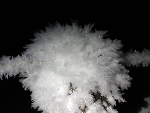 2021.01.10. Esti séta -14 fokban