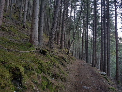 2021.02.03. Graukogel. A 3 napos főn és az eső elvitte a havat (1200m)