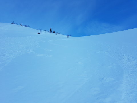 Hát ennél volt már jobb.