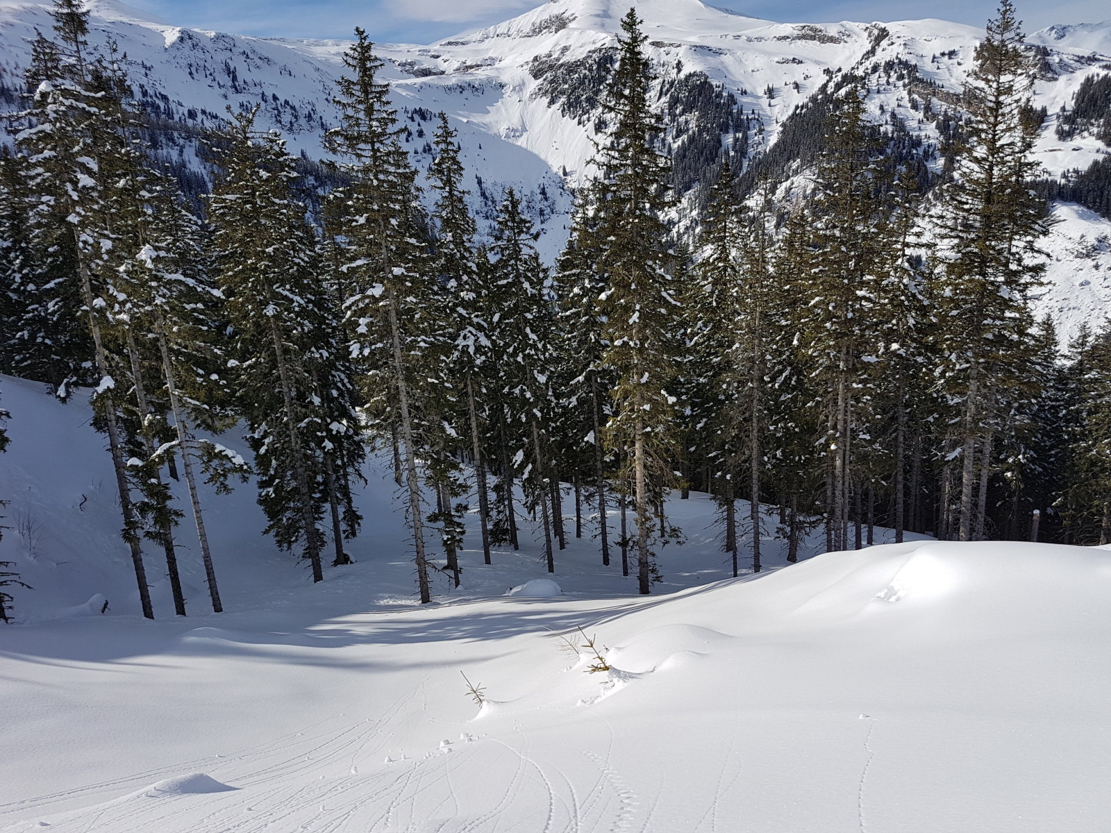 Angertal hátsó, 2. tisztás